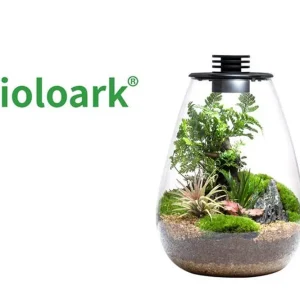 Bioloark Bio Bottle SD175 Wabi-Kusa / Biosphäre, Tropfenform Neue Ware